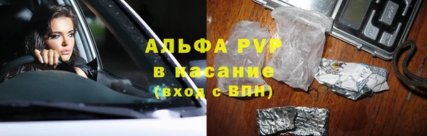 индика Алзамай