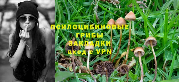 индика Алзамай