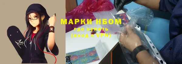 индика Алзамай