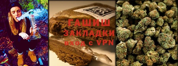 индика Алзамай