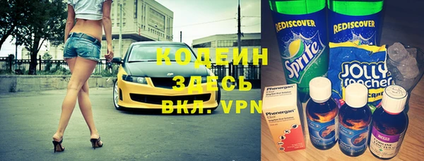 мет Алексин