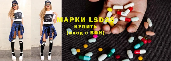 индика Алзамай