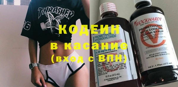 индика Алзамай