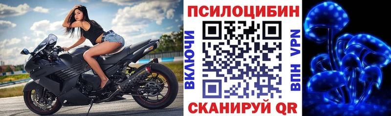 кракен рабочий сайт  Вышний Волочёк  Псилоцибиновые грибы мицелий 